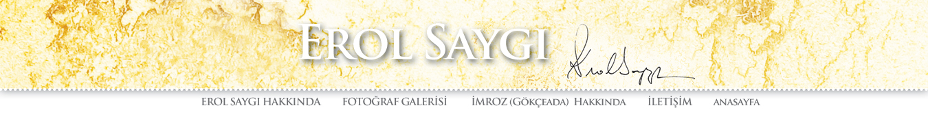 Erol Saygı